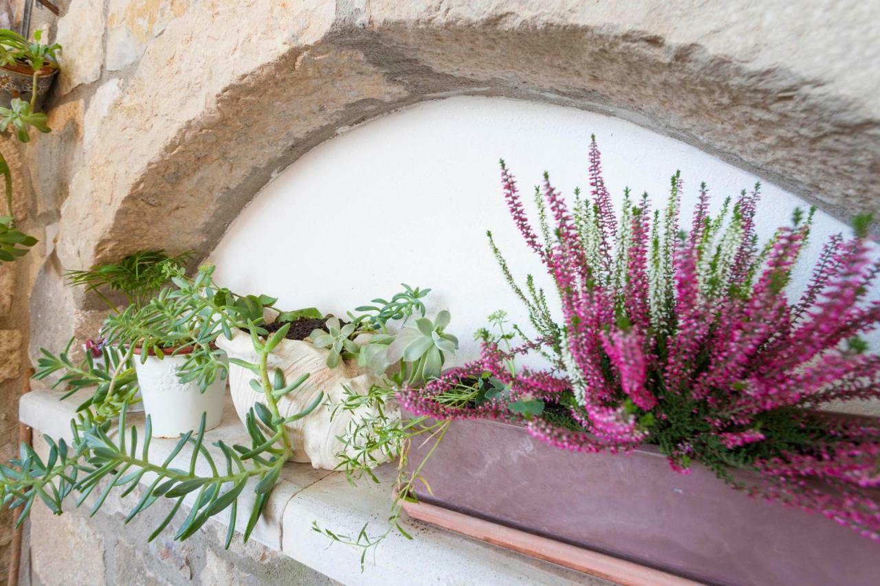 Holiday Home Lavanda Grubisic Tučepi Exteriér fotografie
