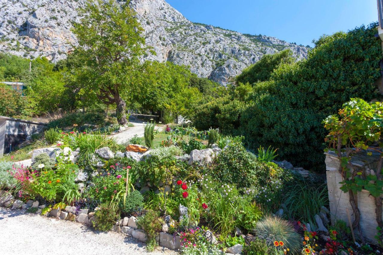 Holiday Home Lavanda Grubisic Tučepi Exteriér fotografie